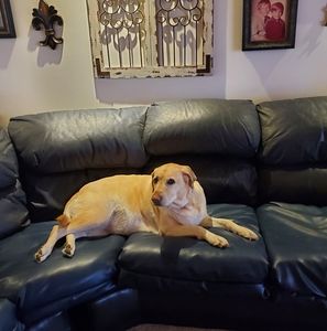 Meet your Posher, Angela